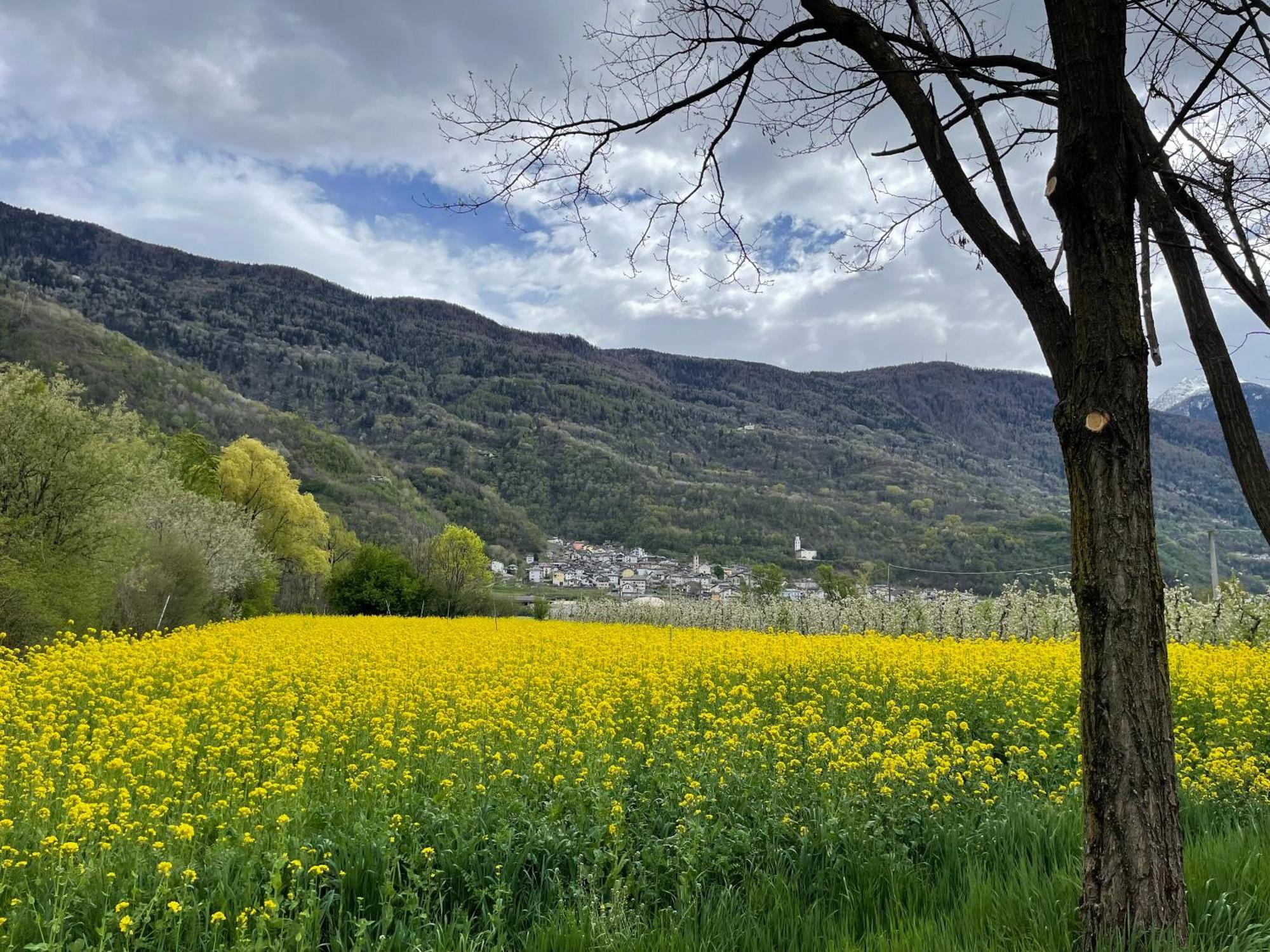 Hotel Ca Marasciol A 5 Minuti Dal Trenino Rosso Del Bernina Express Villa di Tirano Exterior foto